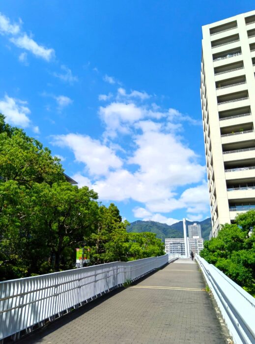 現在の画像に代替テキストがありません。ファイル名: 0b235255-3b56-4bd5-91ff-a2899a4af527.jpg